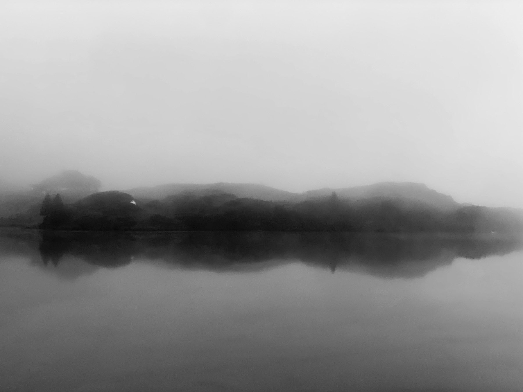 Mystic Fog